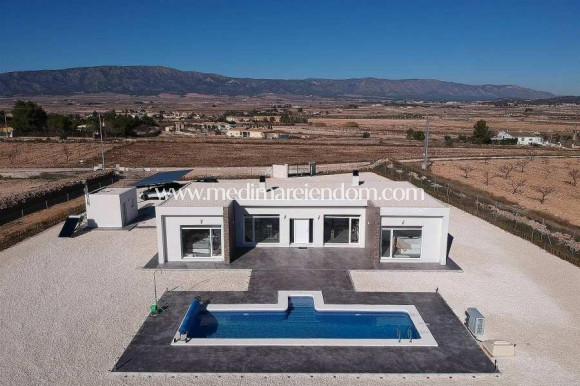New build - Villa - Pinoso - Camino Del Prado